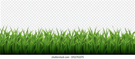 Grass Border Transparent Over 2 993 Royalty Free Licensable Stock