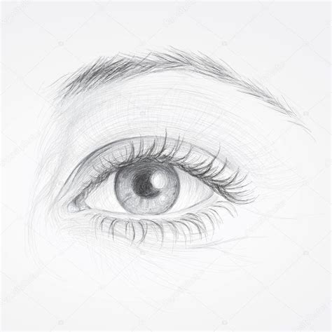 Vector Eye Stock Vector Image By Muamu