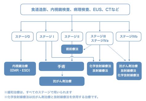 医師監修・作成 食道がんのステージ：余命・治療法・ステージivなどについて Medleyメドレー