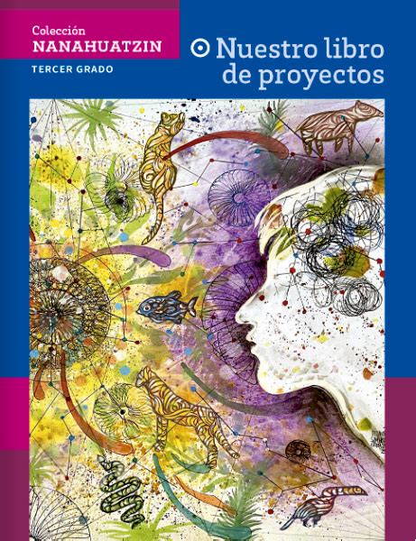 Descarga Los Libros Nuestro Libro De Proyectos Enpdf