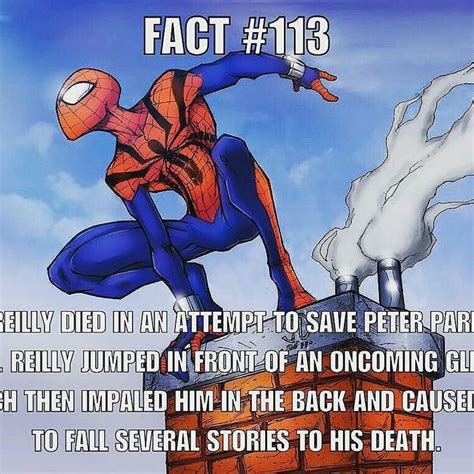 Great Fact Repost The Spiderverse Check Out Some Great Spider Man Facts Marvel Dc Comics