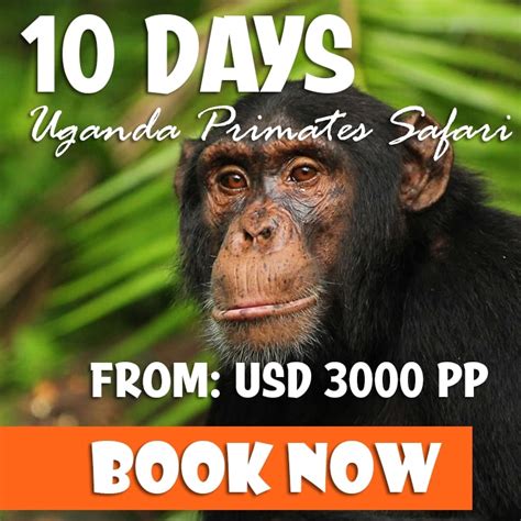 5 Most Popular National Parks In Uganda Uganda Travel Blog