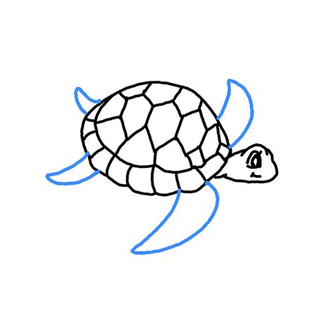 Easy Drawing Cute Baby Sea Turtle