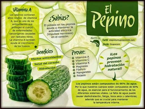 Conoce El Pepino Nutrición Beneficios Del Pepino Salud Y Nutricion