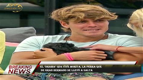 El Drama Que Vive Morita La Perra Que De Gran Hermano Se Llev A