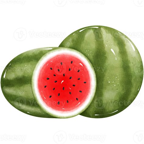 Watercolor Watermelon Illustration 47824924 Png