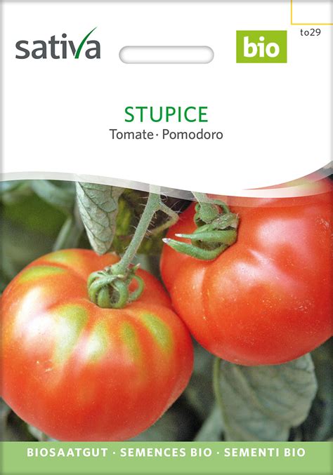 Bio Saatgut Tomate Stupice Tomatenzauber De Onlineshop