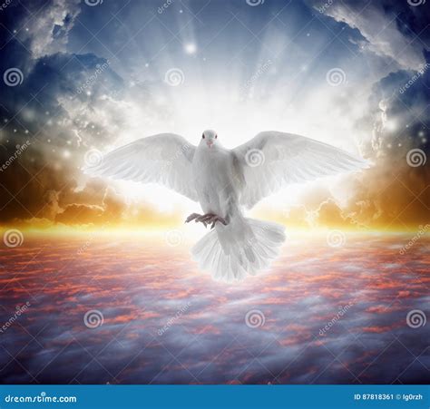 Bird Heaven Vector Illustration | CartoonDealer.com #55974338