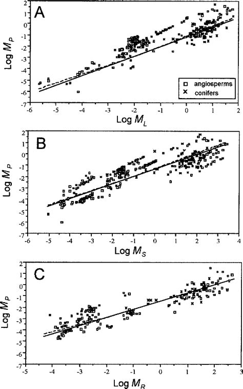 Figure From An Allometric Model For Seed Plant Reproduction