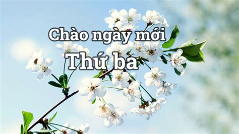 Những Bức ảnh Chào Ngày Mới Thứ 3 được Nhiều Người Yêu Thích