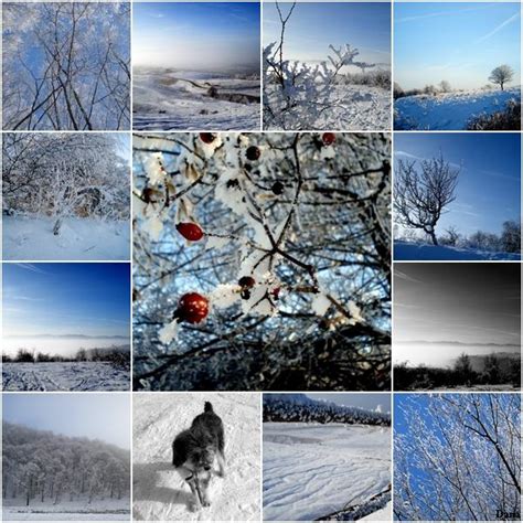 Winter collage by Danutza88 on DeviantArt