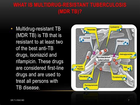 Ppt Multidrug Resistant Tuberculosis Powerpoint Presentation Free