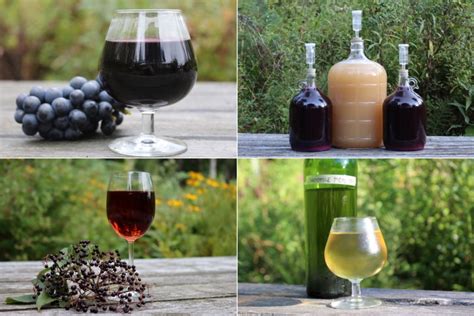 50+ Winemaking Recipes for Homemade Wine (from Any Fruit!)