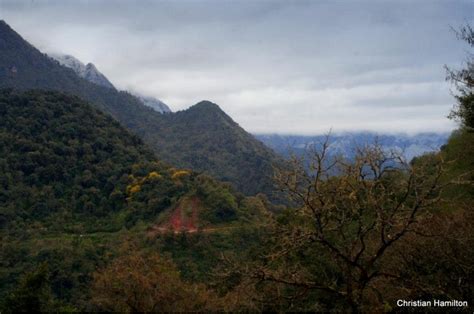 Parque Nacional Calilegua Jujuy Argentina ~ Parquesymuseos ~