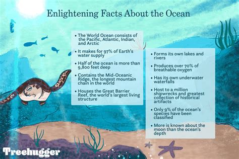 11 Enlightening Facts About the Ocean