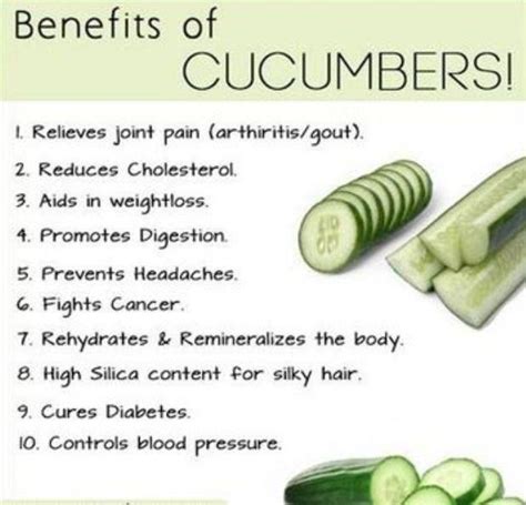 The Cucumber And Its Benefits Cucumber Benefits Cucumber Health