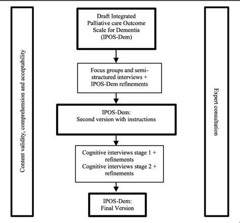 Figure 1 From Development Of A Caregiver Reported Measure To Support Systematic Assessment Of