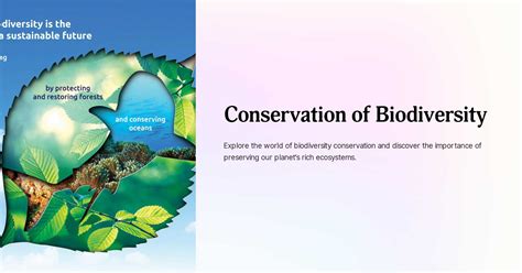 Conservation Of Biodiversity