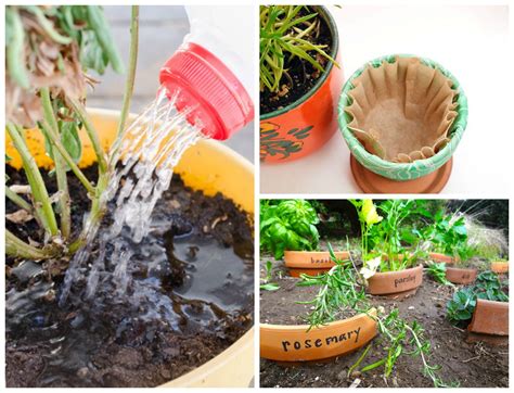 11 Easy Gardening Hacks Easy Garden Easy Gardening Hacks Garden