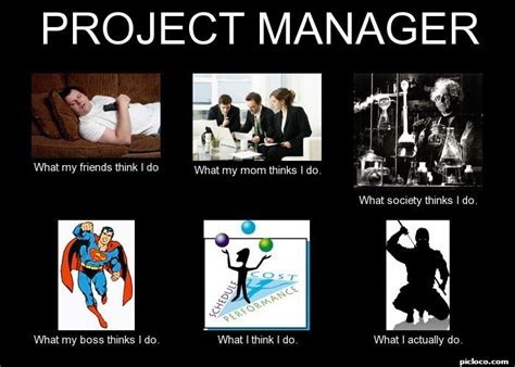 Project Manager What My F Perception Vs Fact Picloco