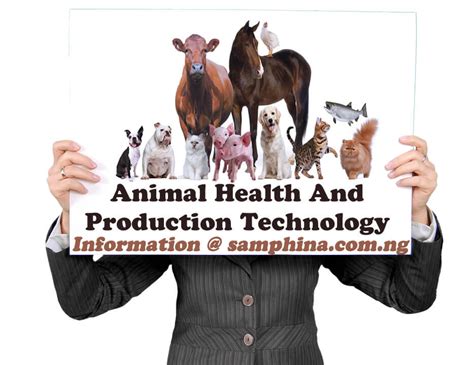 Polytechnics That Offer Animal Health and Production Technology