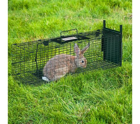 Pi Ge De Capture Pour Petits Animaux Entr E Et Poign E M Tal Vert