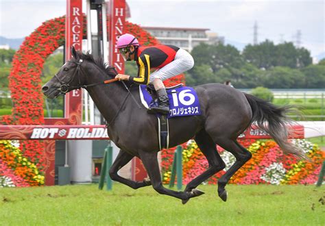 2020年 Jra中央競馬 G1レース 日程・結果一覧 競馬まとめ