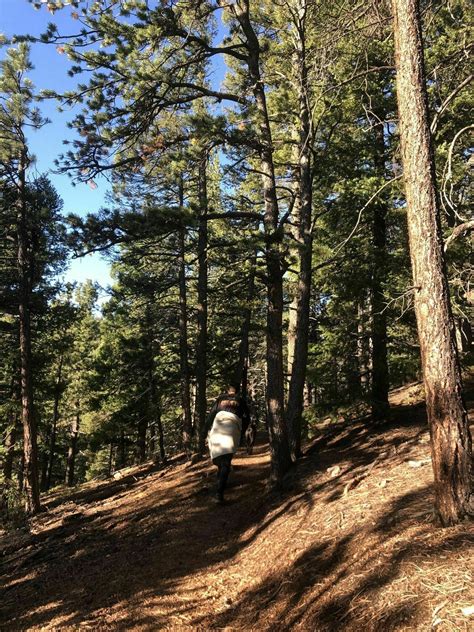 Gray Back Peak Trail - Colorado | AllTrails