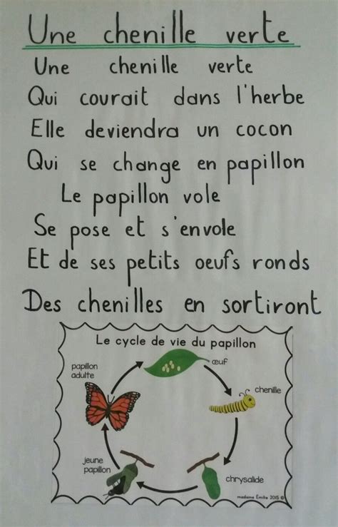 French Teaching Resources Science Resources Teaching French Alphabet