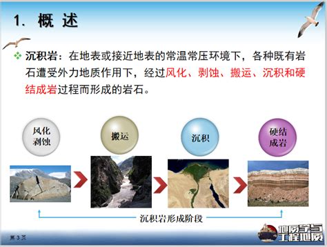 大学地质学与工程地质ppt矿物和岩石3沉积岩 岩土培训讲义 筑龙岩土工程论坛