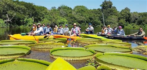 Traves A En Kayaks Por Arroyo Eembuc Fomenta El Ecoturismo Gaceta