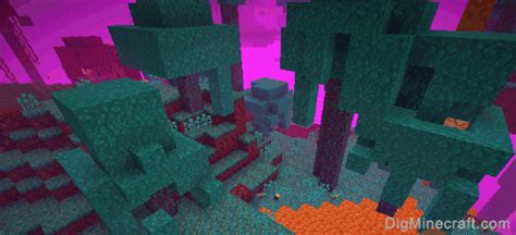 Warped Forest in Minecraft