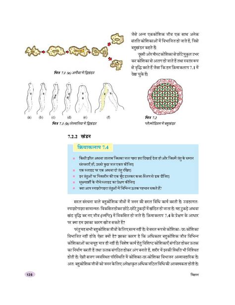 Rbse Book Class 10 Science विज्ञान Chapter 7 नियंत्रण एवं समन्वय