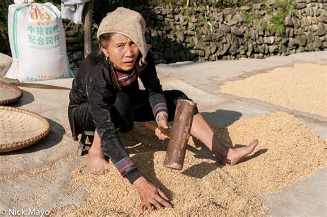 Pounding Rice | Gaochien, Guizhou, China (2013) | Nick Mayo Photography