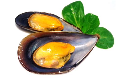 NUESTRAS RECETAS FAMILIARES: MEJILLONES AL VAPOR