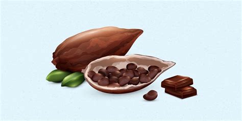 Kenali Jenis Coklat Dan Negara Penghasil Coklat Terenak Ef Blog