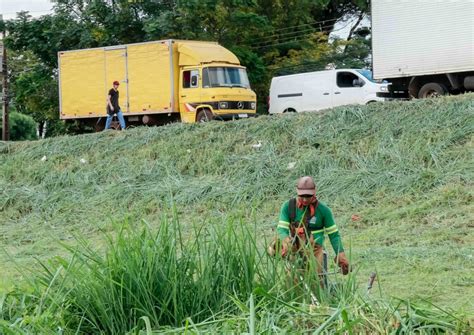 Nova Terceirizada Intensifica Limpeza De Lotes Baldios Em Apucarana