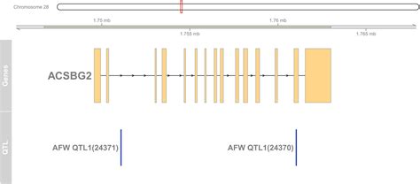 Frontiers Time Course Transcriptomic Study Reveals The Gene