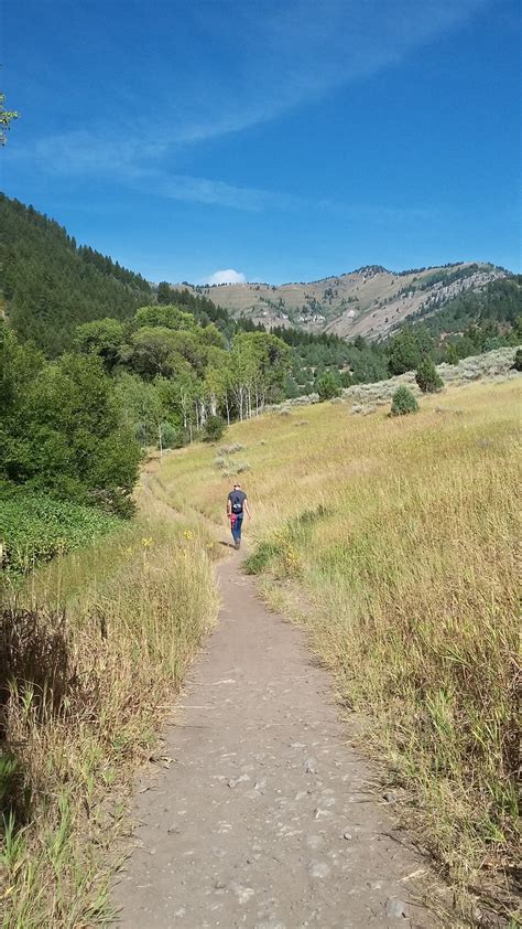 Hiking Jardine Juniper Trail | Oldest Juniper Tree | Scenic byway ...