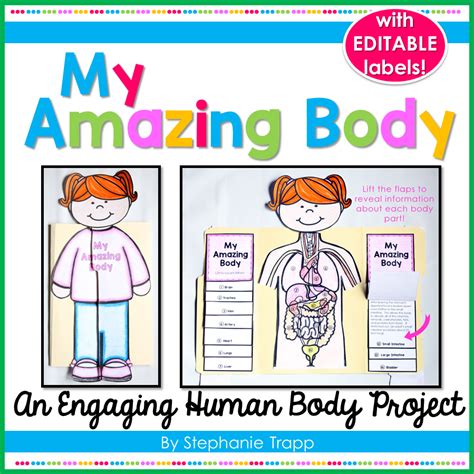 Body System Project Ideas