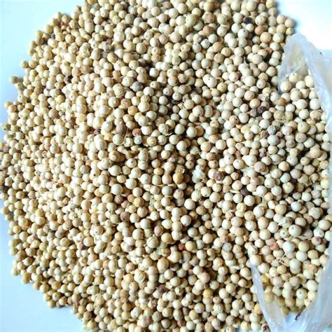 Jual Berat Kg Lada Putih Bangka Muntok White Pepper Di Lapak Twhshop