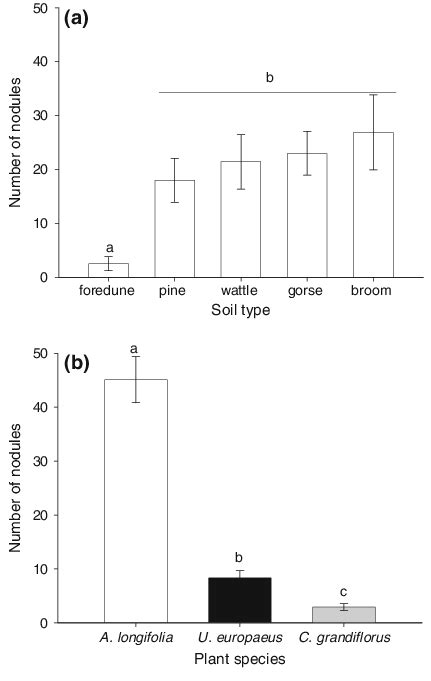 Number Of Nodules Per Plant Mean Se Pooling The Data Within Each