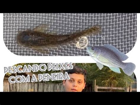 Pescando Os Peixes A Peneira Youtube