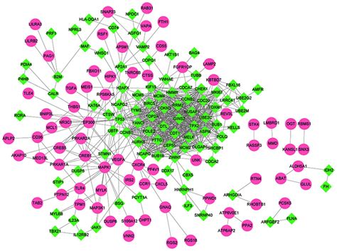 Identification Of Genes And Signaling Pathways Associated With The