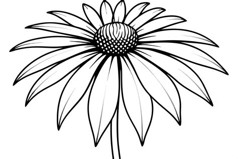 Echinacea Flower Vector Illustration Graphic by SKShagor Barmon