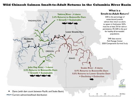 Native American Tribes To Back Gw Of Renewables To Replace Hydro