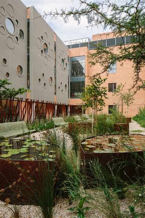 Gallery of Nelson Mandela Children's Hospital / Sheppard Robson + John Cooper Architecture ...