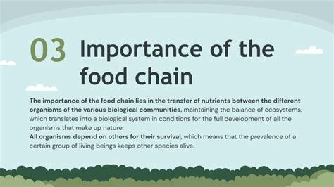 The Food Chain | Google Slides & PowerPoint