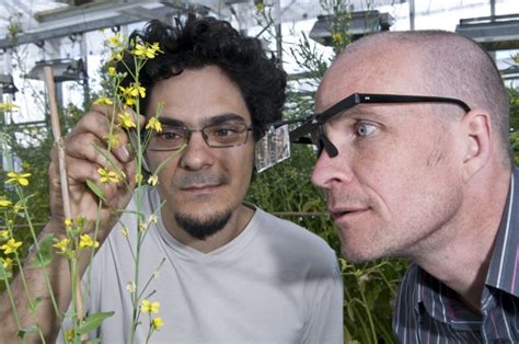 Fascination Of Plants Day Is May Plant Science Today