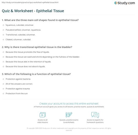 Epithelial Tissue Practice Worksheets